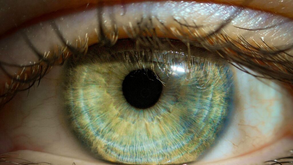 Nano therapie bij Mommy's Skincare in Amsterdam